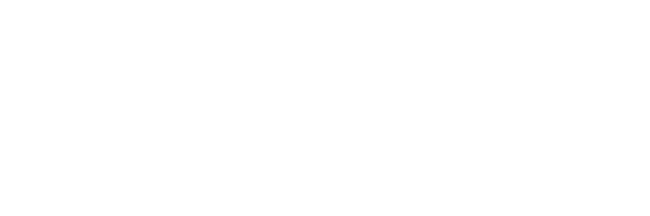 Savage-Logo-Horizontal-White